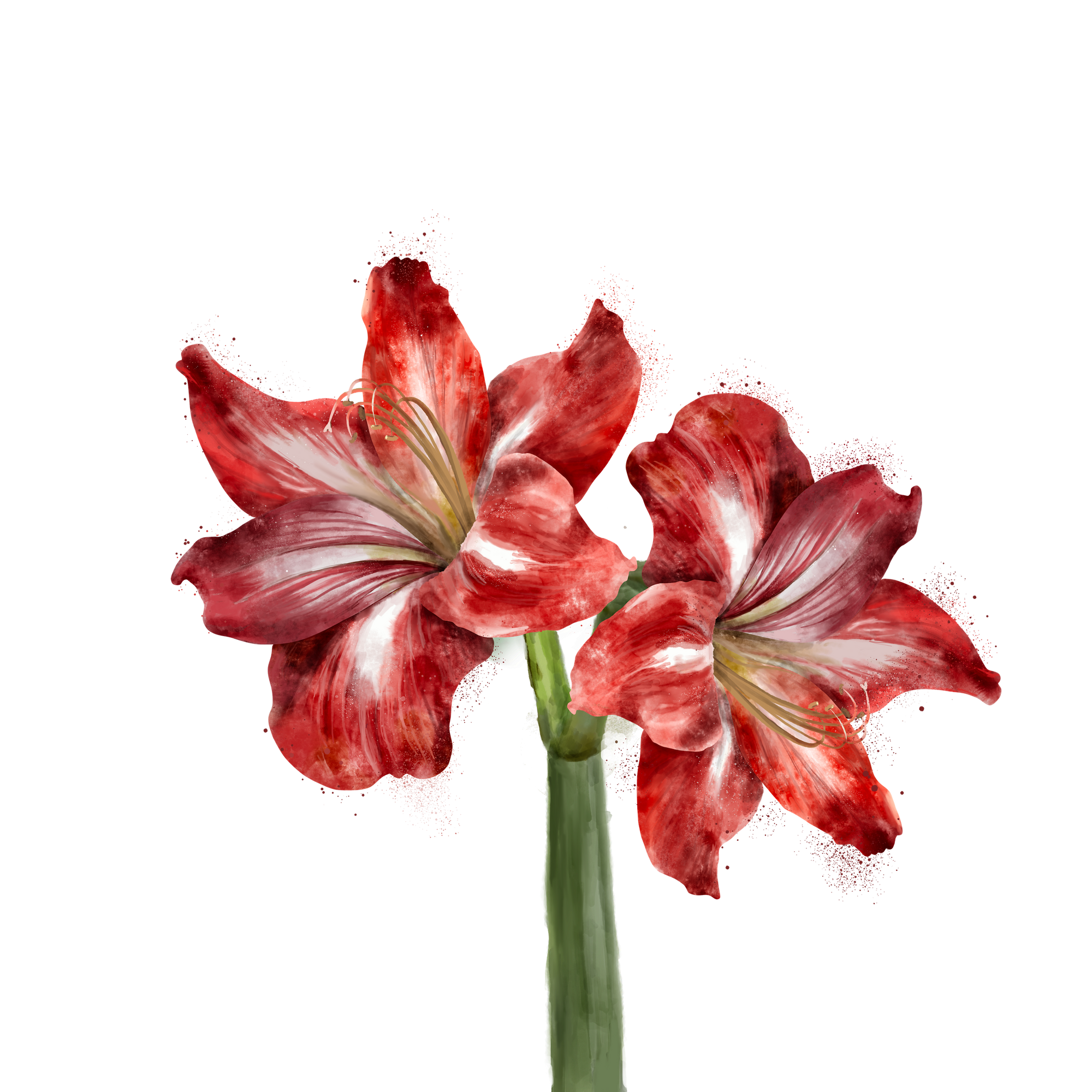 2 RED LILY by RAMIR DESIGNS, digitally printed on a hand-made Unisex Denim Jacket