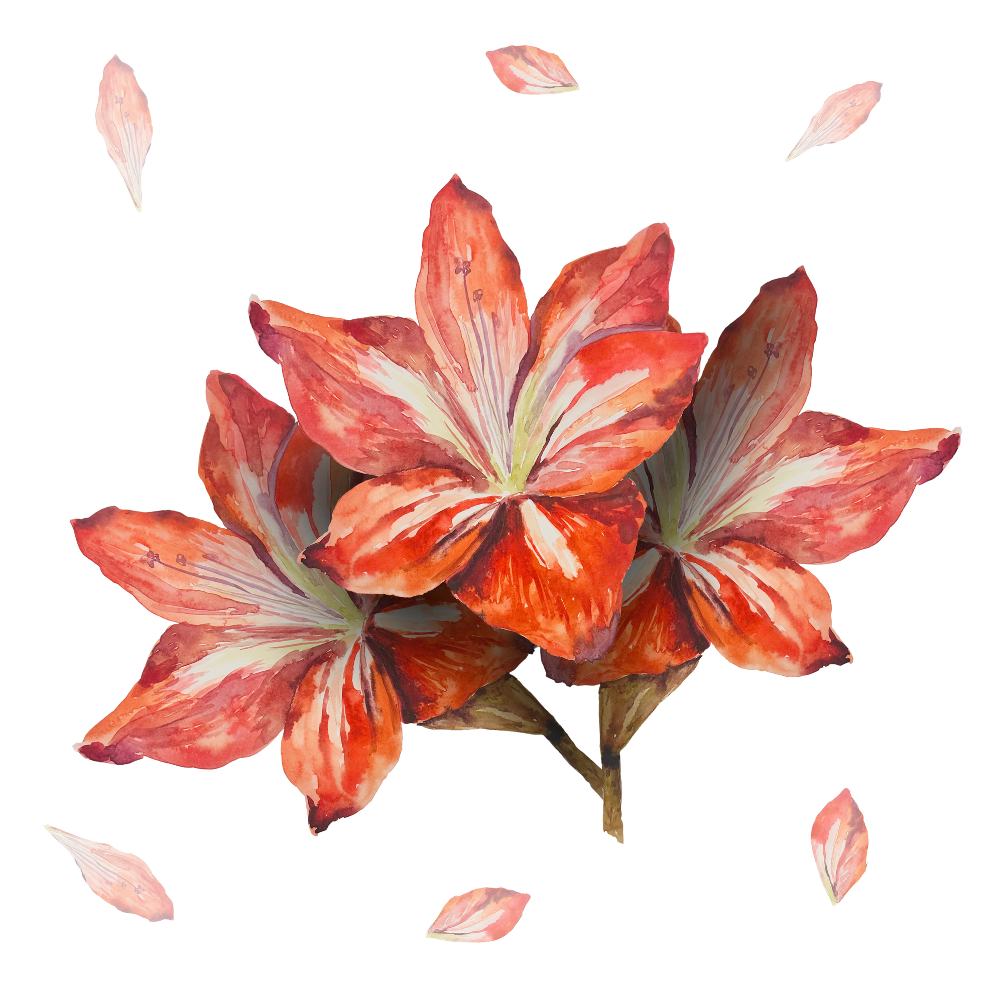 3 RED FLOWERS by RAMIR DESIGNS, digitally printed on a hand-made Unisex Denim Jacket