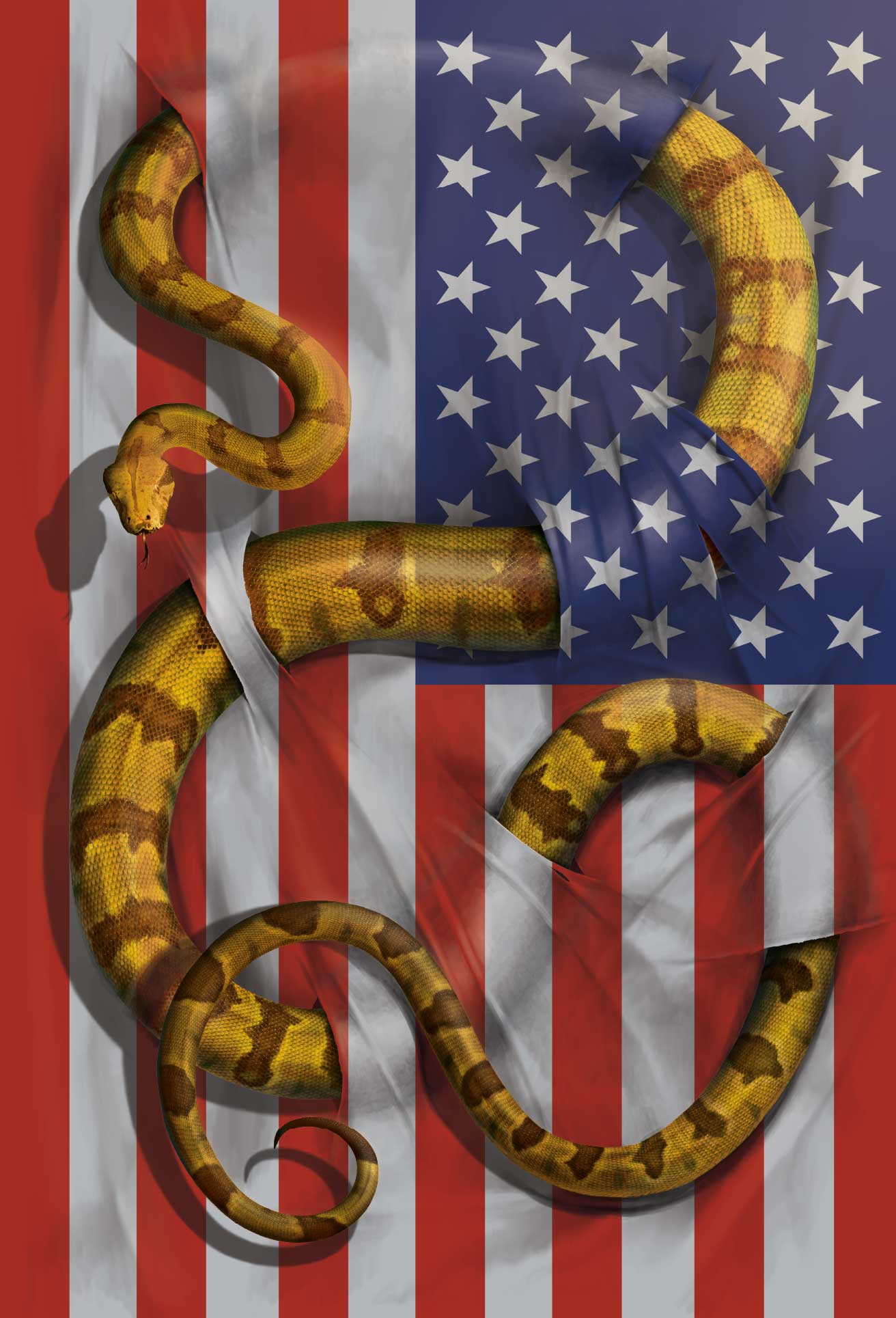 BOA CONSTRICTOR by VINCENT HIE, digitally printed on DENIM products: throw pillows, aprons, table place mats, and hand-made Unisex Denim Jackets in 3 color choices