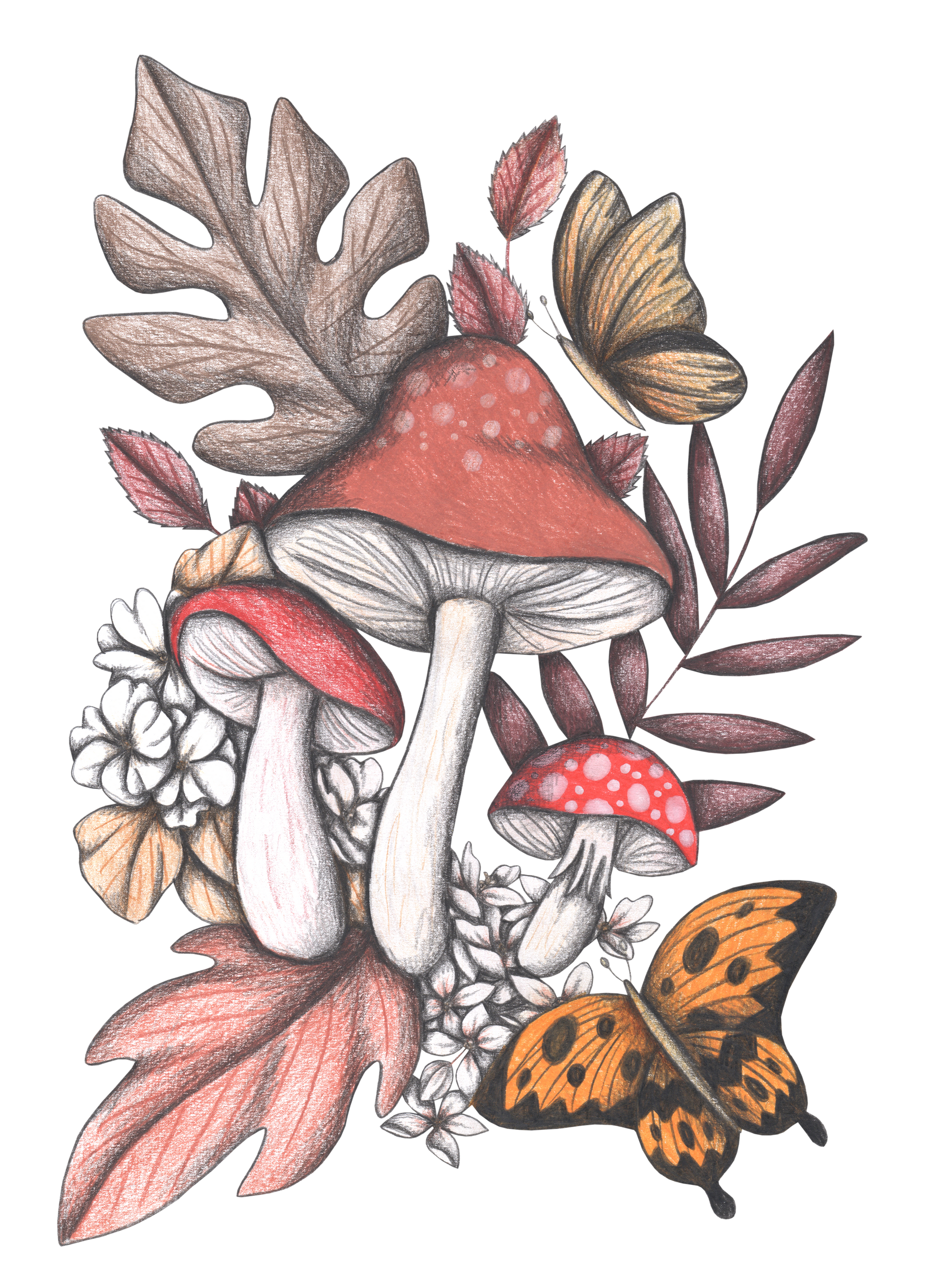 MUSHROOM MAGIC 2 by CECILIA BATTAINI, digitally printed on DENIM products: throw pillows, aprons, table place mats, and hand-made Unisex Denim Jackets in 3 color choices
