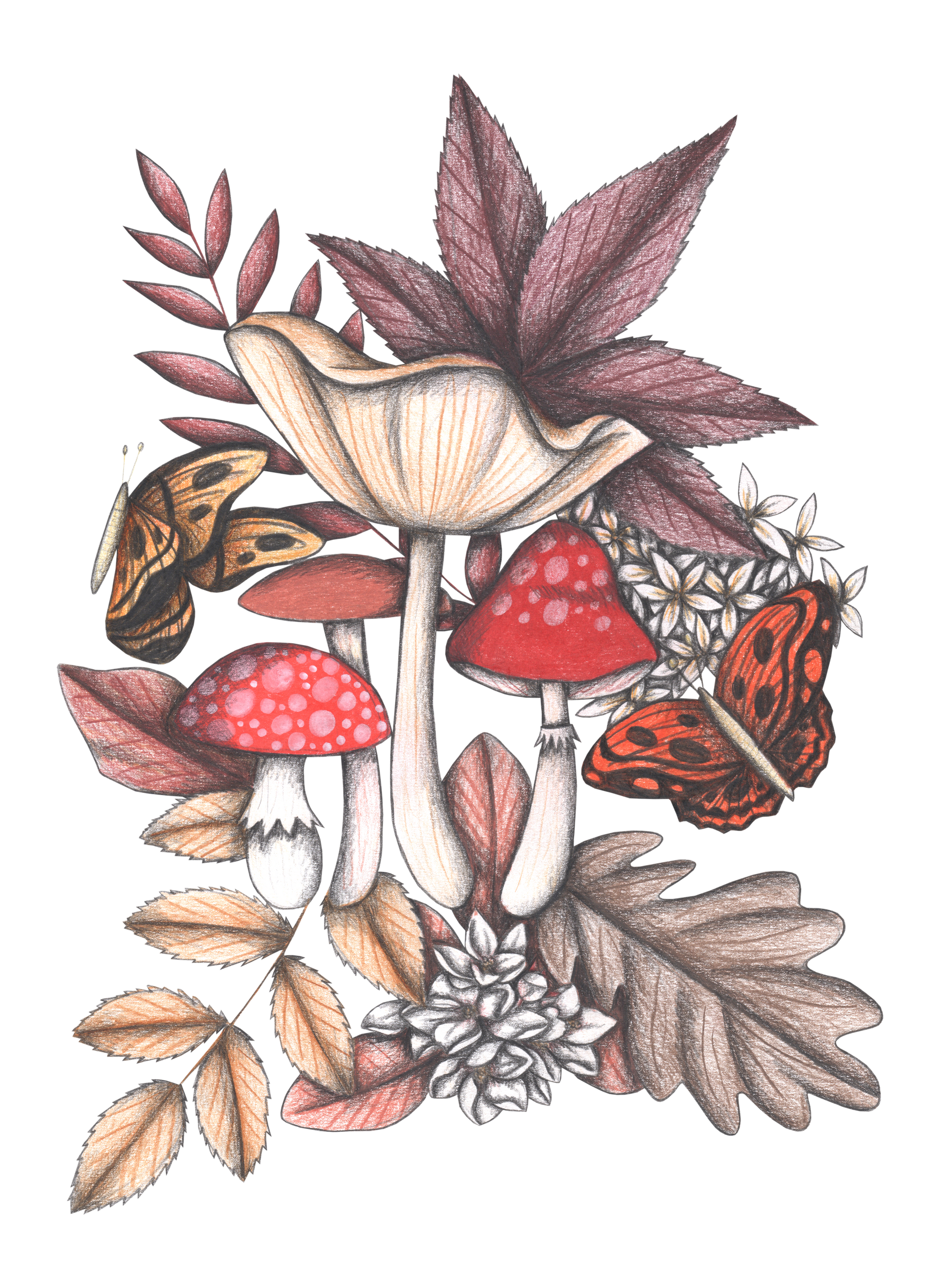 MUSHROOM MAGIC 3 by CECILIA BATTAINI, digitally printed on DENIM products: throw pillows, aprons, table place mats, and hand-made Unisex Denim Jackets in 3 color choices