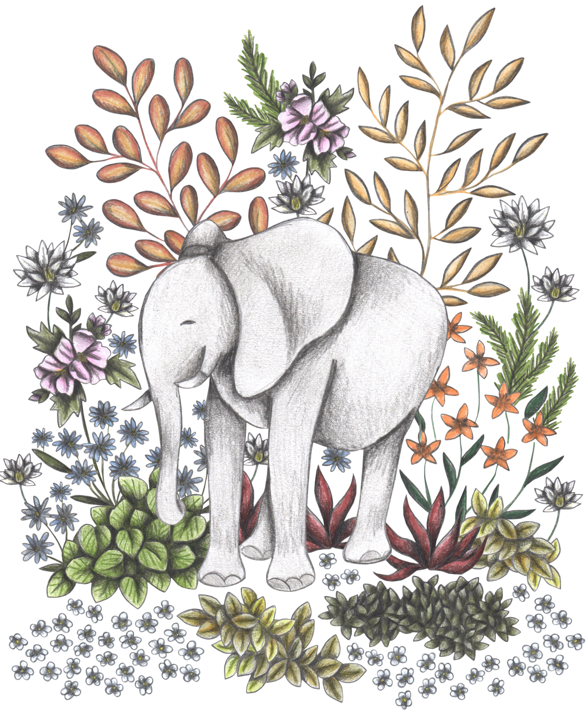 SAFARI ELEPHANT by CECILIA BATTAINI, digitally printed on DENIM products: throw pillows, aprons, table place mats, and hand-made Unisex Denim Jackets in 3 color choices