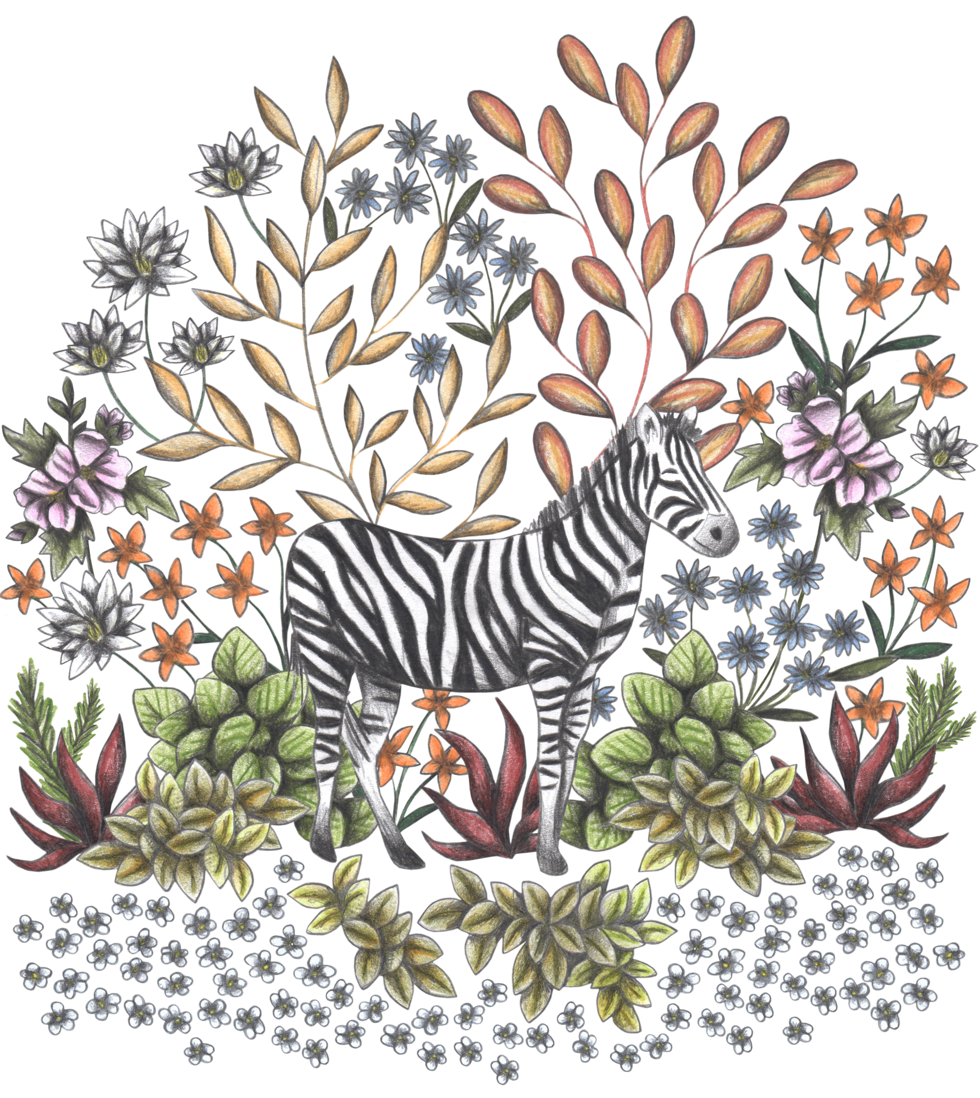 SAFARI ZEBRA by CECILIA BATTAINI, digitally printed on DENIM products: throw pillows, aprons, table place mats, and hand-made Unisex Denim Jackets in 3 color choices