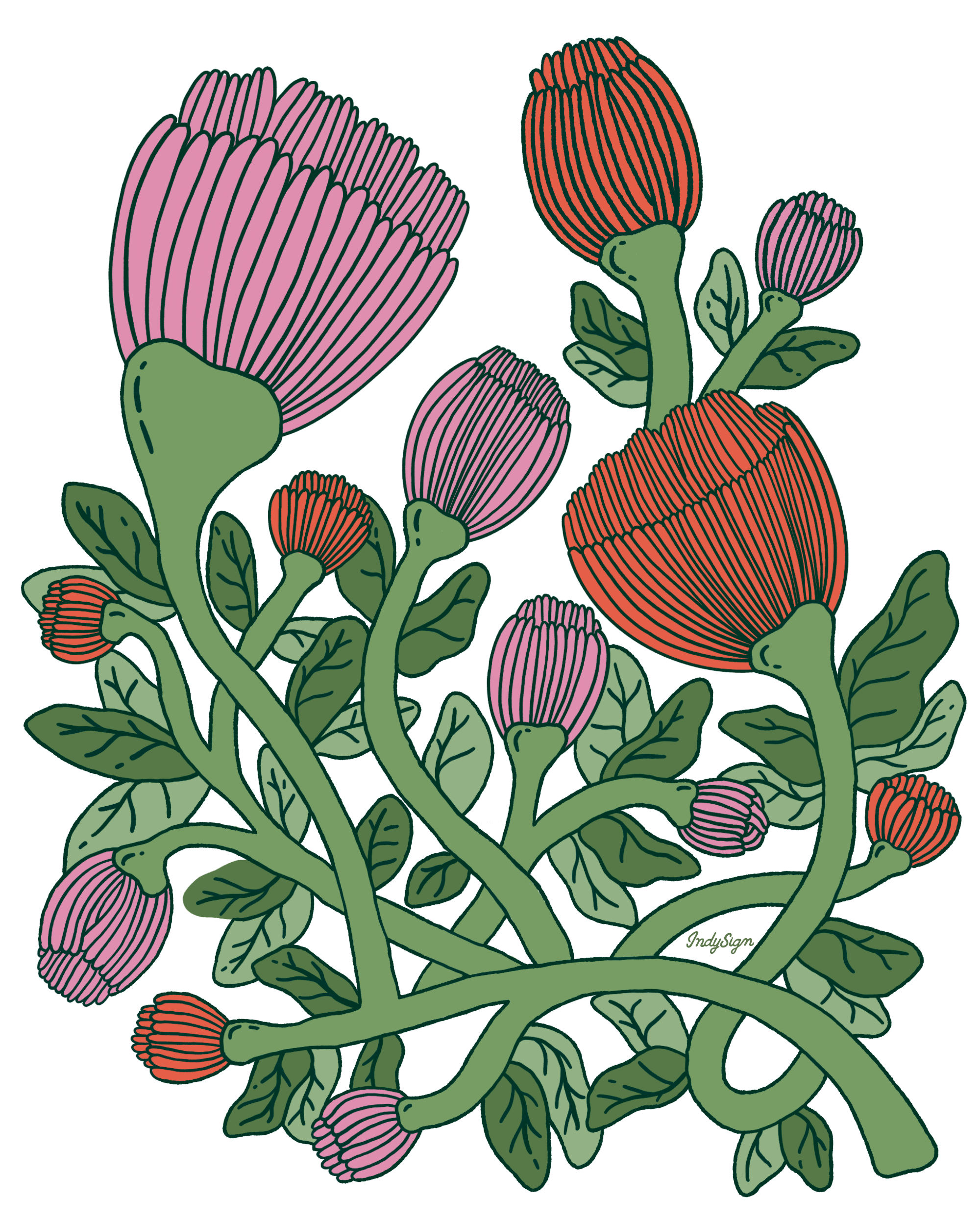 VINEBOUND BLOOMS by IndySign, digitally printed on DENIM products: throw pillows, aprons, table place mats, and hand-made Unisex Denim Jackets in 3 color choices