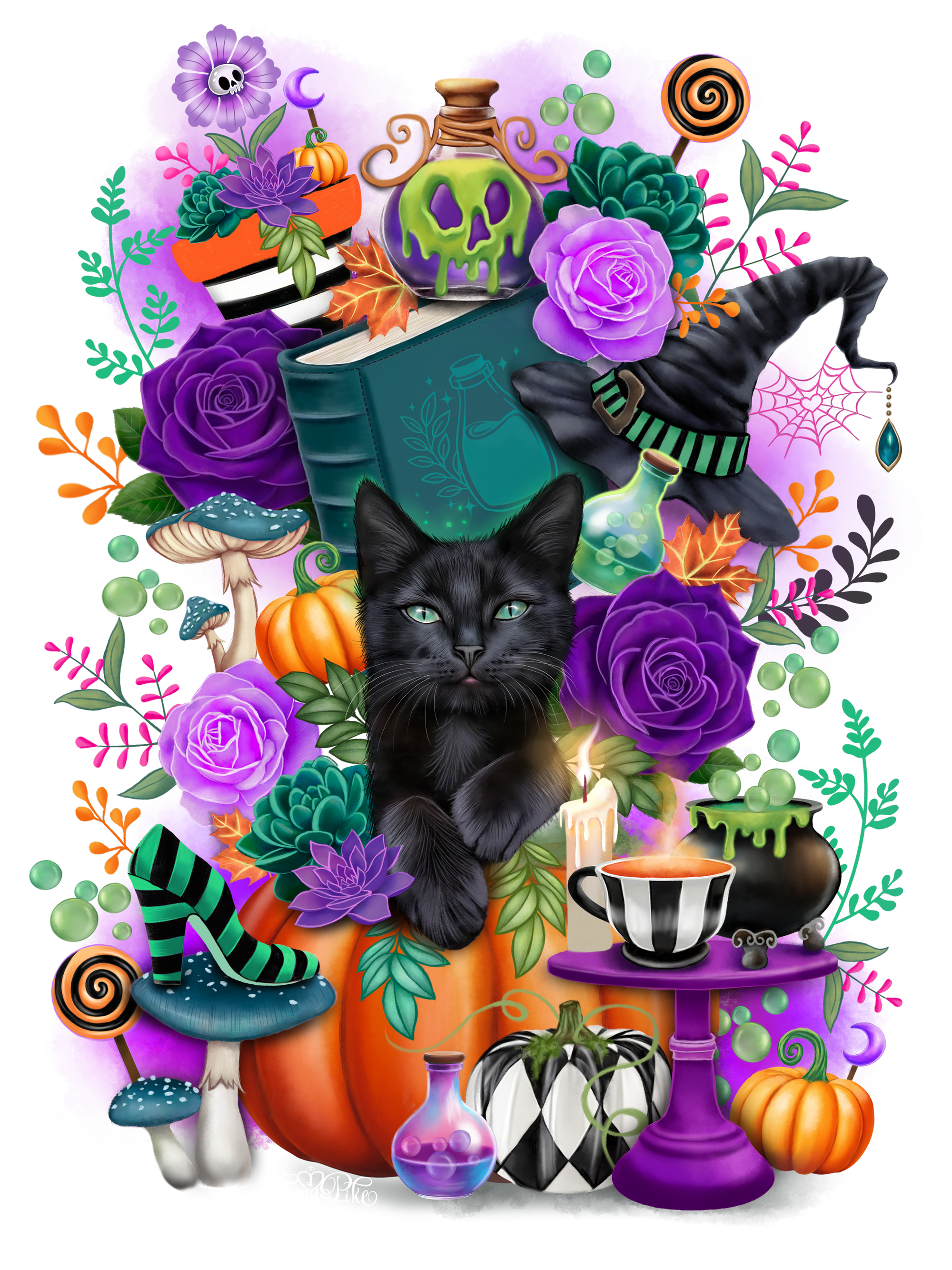 WITCHES COMPANION by SHEENA PIKE, digitally printed on DENIM products: throw pillows, aprons, table place mats, and hand-made Unisex Denim Jackets in 3 color choices