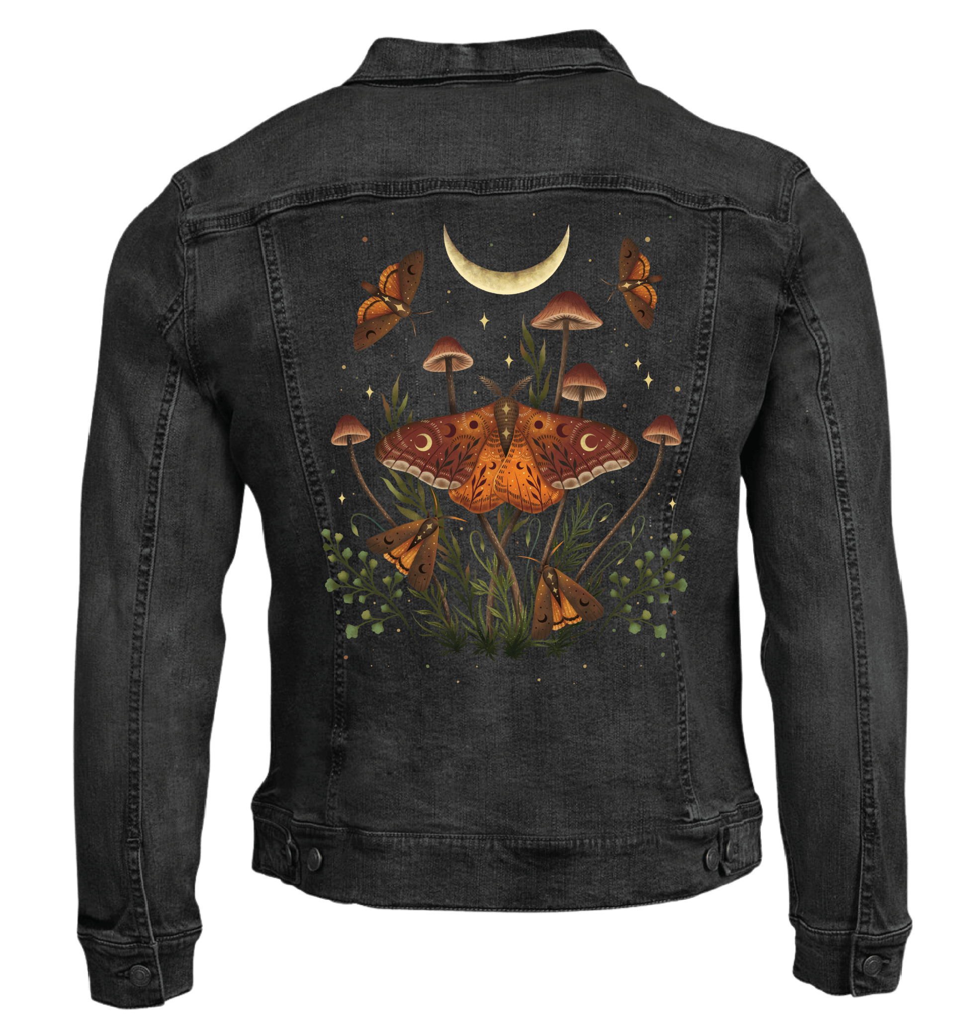 AUTUMN LIGHT UNDERWINGS by EPISODIC DRAWING