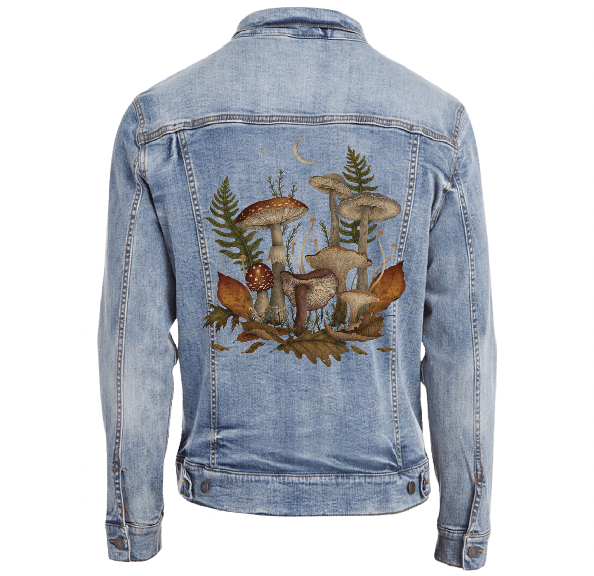 AUTUMN MUSHROOMS by EPISODIC DRAWING