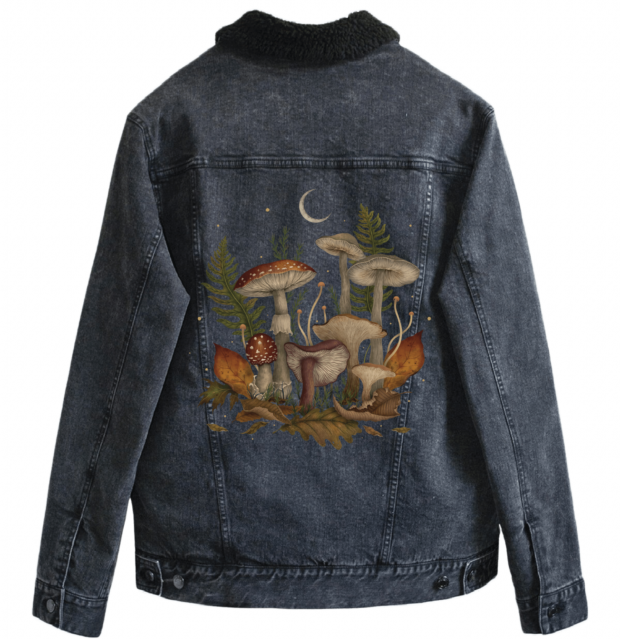 AUTUMN MUSHROOMS by EPISODIC DRAWING