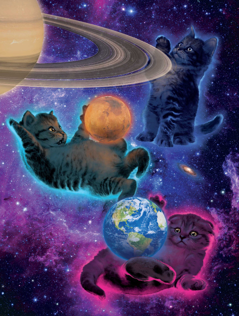 COSMIC KITTENS by VINCENT HIE, printed on denim jackets and other denim products: tote bags, throw pillows, table place mats, aprons