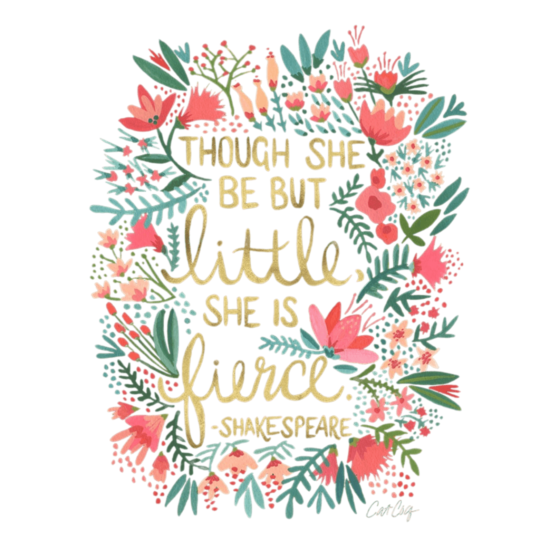 LITTLE & FIERCE by CatCoq printed by DenimINK on hand - crafted Denim Jackets & other Denim products. 3 colors: Stonewash, White, Black. Unisex XS - 3X. USA printed custom denim jacket by DenimINK