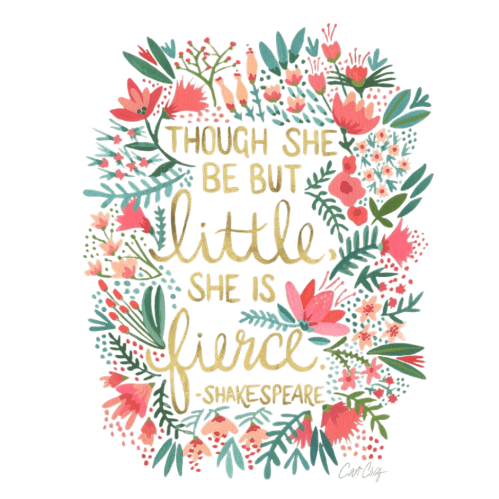 LITTLE & FIERCE by CatCoq printed by DenimINK on hand - crafted Denim Jackets & other Denim products. 3 colors: Stonewash, White, Black. Unisex XS - 3X. USA printed custom denim jacket by DenimINK