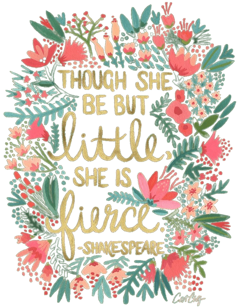 LITTLE & FIERCE by CatCoq