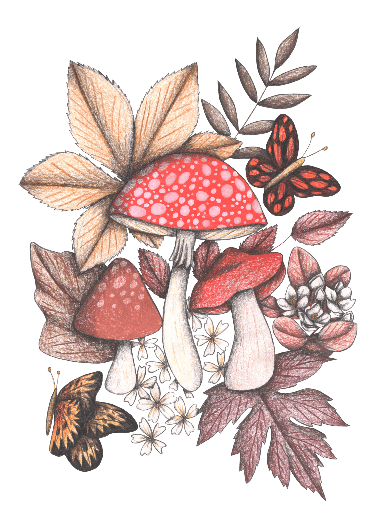 illustration of a woodland grouping of red-capped mushrooms surrounded by soft autumn leaves, white blossoms, & two butterflies in mid-flight. the speckled mushroom caps glow with warm red tones, shaded in pencil with creamy stems and dusky ochre detailing. the muted palette of rust, ivory, sienna & peach evokes a storybook woodland scene. this artwork is titled “Mushroom Magic 1” and created by Cecilia Battaini, printed on denim products by DenimINK.