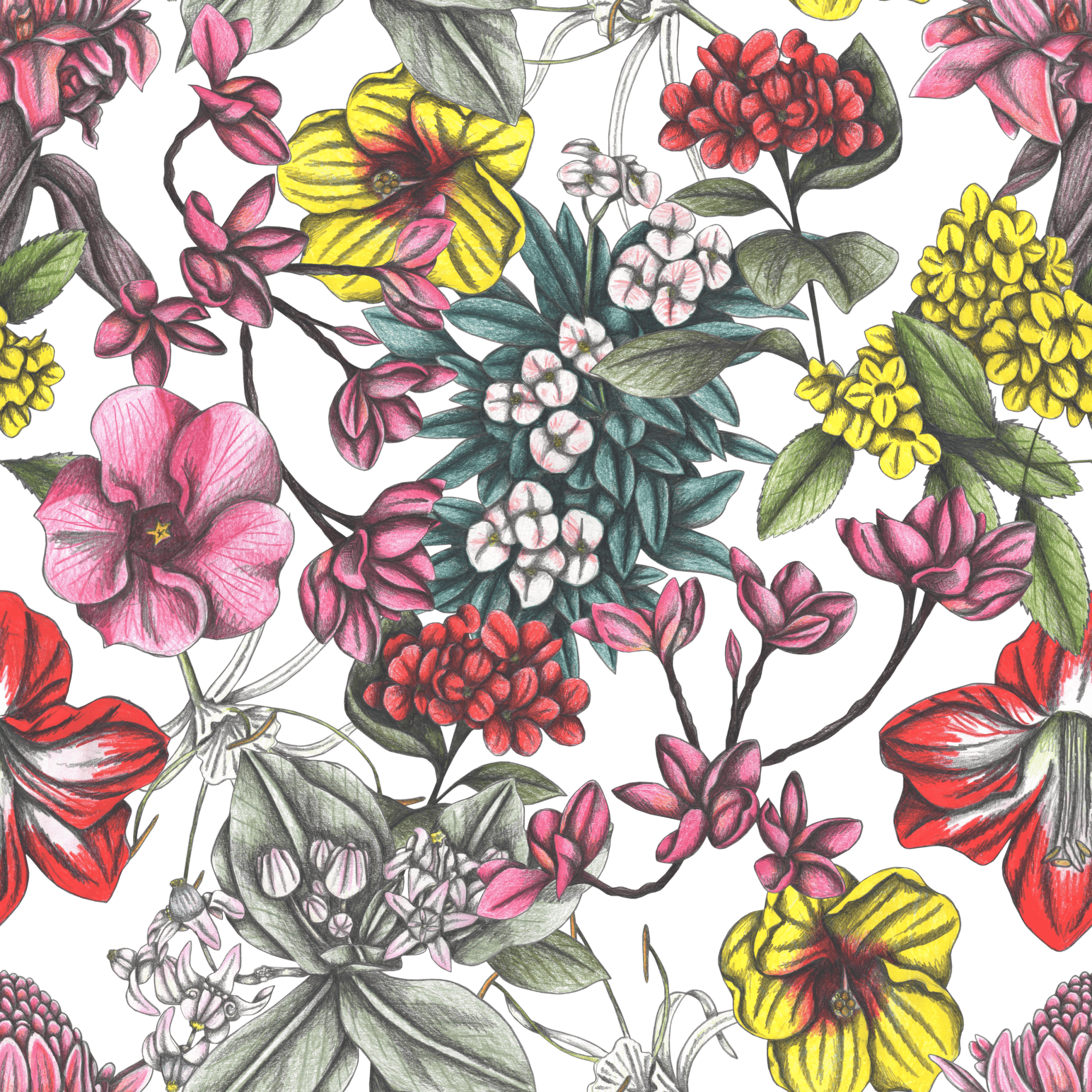 illustration of a lush, densely layered floral pattern featuring hand-drawn tropical flowers in vivid shades of red, yellow, fuchsia, lavender, ivory, & deep teal. twisting stems and textured foliage weave through blossoms that range from delicate to bold, evoking the intensity of a moonlit garden at peak bloom. the palette is rich but softened by pencil-shaded textures, creating a dreamy nighttime effect. this artwork is titled “Night in India” and created by Cecilia Battaini, printed by DenimINK
