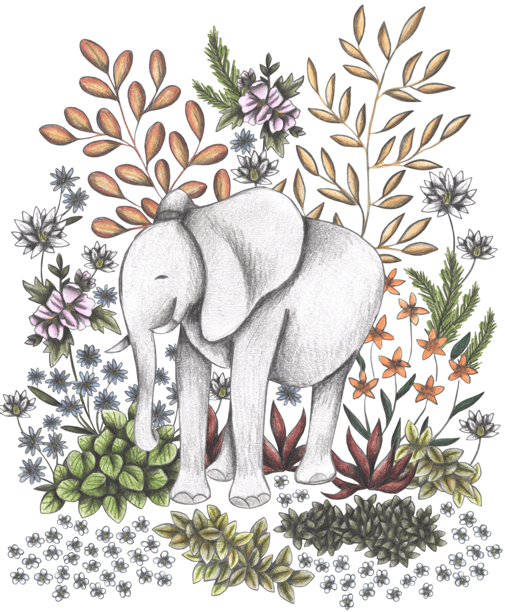 illustration of a softly shaded white elephant standing amid a lush safari garden of flowering plants, grasses, & leaves in muted natural tones. The elephant is centered in a whimsical array of tall dried stalks, white star-shaped blossoms, burnt orange flowers, lavender buds, & layered succulents. Pencil-like texturing & a gentle palette of grays, greens, blush pinks, & warm browns create a dreamy, storybook atmosphere. this artwork is titled “Safari Elephant” and created by Cecilia Battaini