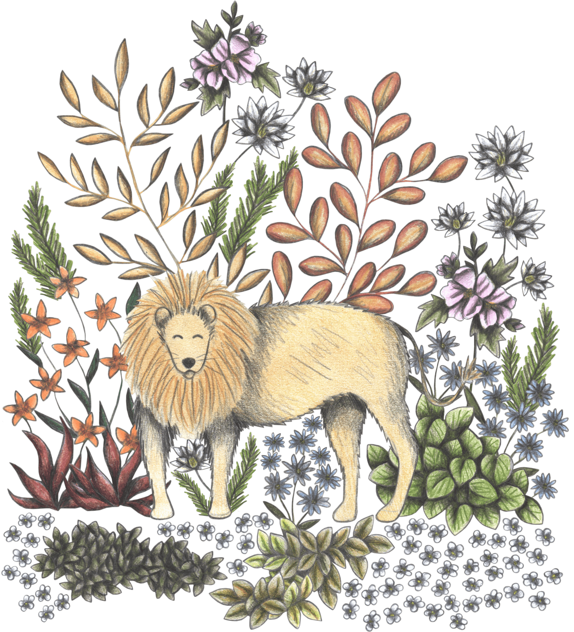 SAFARI LION by CECILIA BATTAINI, printed on denim jackets and other denim products: tote bags, throw pillows, table place mats, aprons