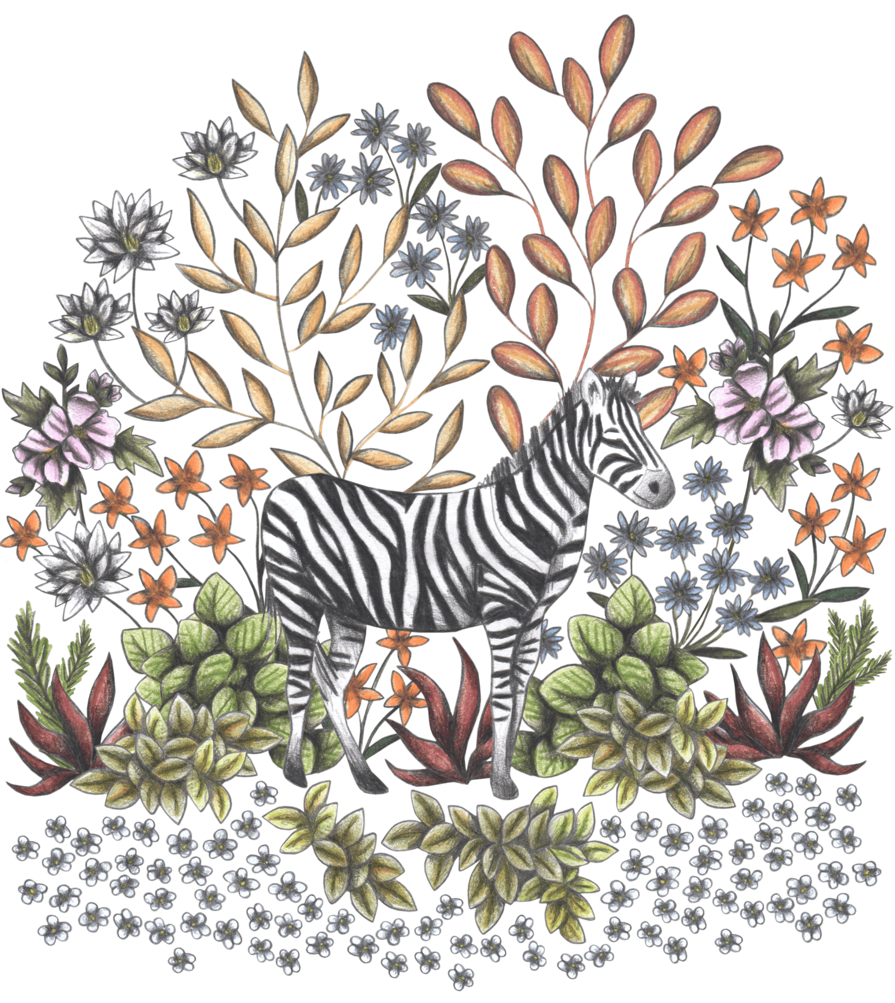 SAFARI ZEBRA by CECILIA BATTAINI, printed on denim jackets and other denim products: tote bags, throw pillows, table place mats, aprons