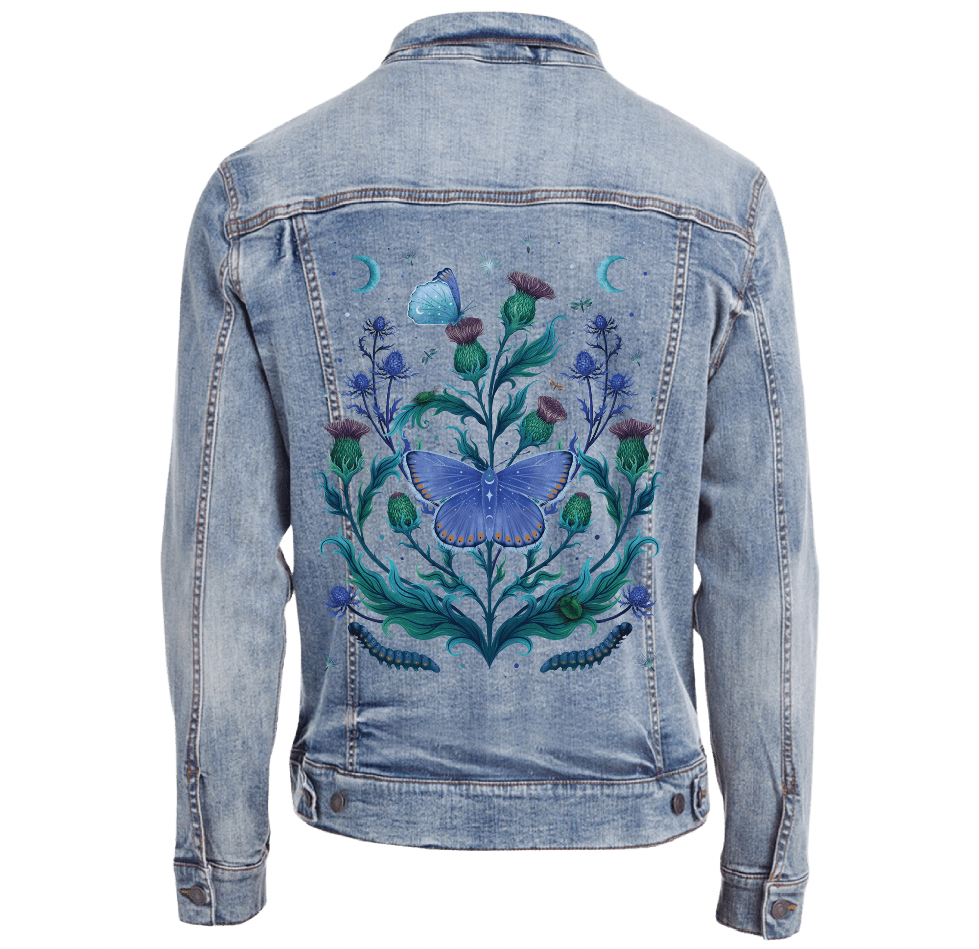 THISTLE HOME by EPISODIC DRAWING