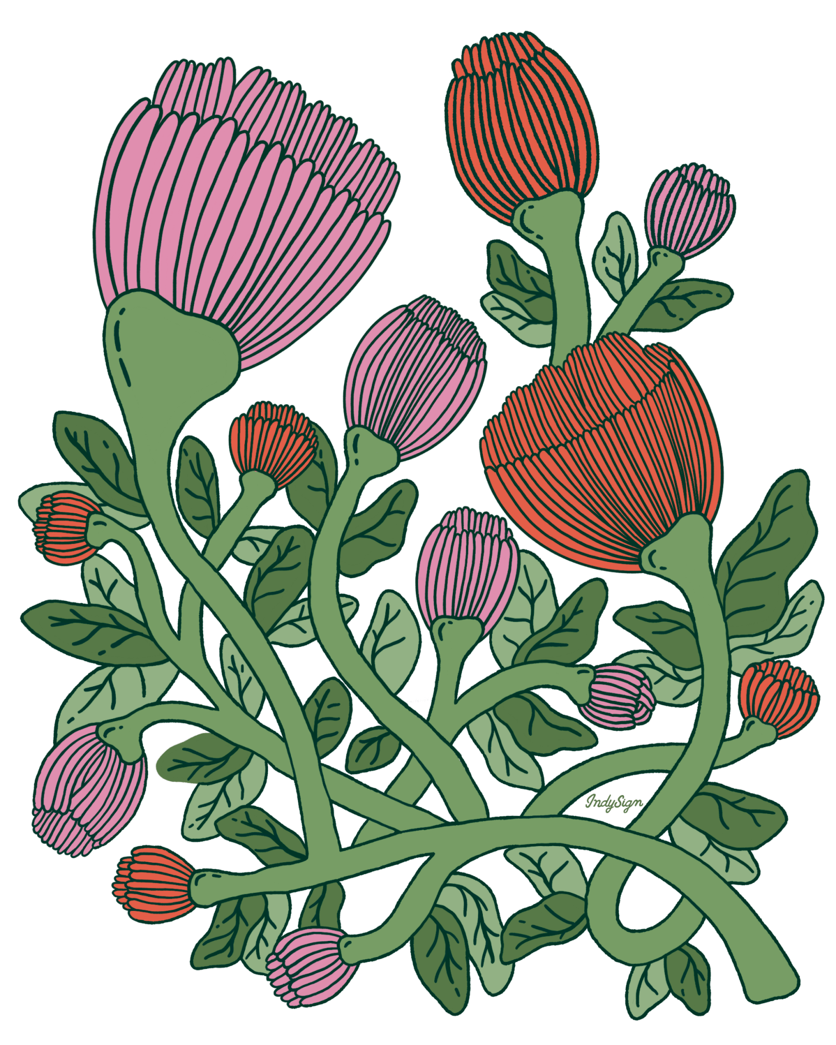 VINEBOUND BLOOMS by IndySign, printed on denim jackets and other denim products: tote bags, throw pillows, table place mats, aprons