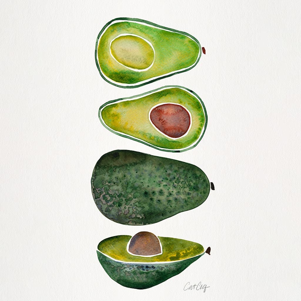 illustration of four avocado forms stacked vertically in watercolor on a white background. from top to bottom: a halved avocado with pale green flesh and no pit, a second half with a brown seed, a whole dark green avocado with textured skin, and a final halved piece with seed visible and yellow-green flesh. each form is outlined in white, creating slight separation from the paper background. signed “CatCoq” at lower right. (Cat Coquillette)
