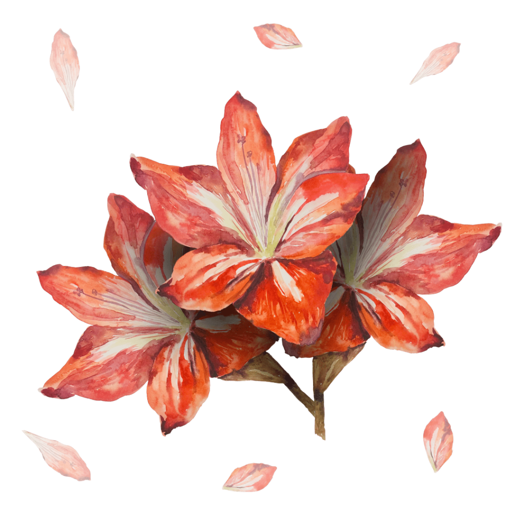 illustration of Three red flowers with wide open petals painted in layered crimson, coral, and soft white tones, arranged in a clustered composition on a short green stem. Pale centers radiate outward with light veins, while loose individual petals drift around the flowers in midair. The brushwork is watercolor-like with visible texture and soft edges against a black background. This artwork is titled “3 Red Flowers” and created by RaMir Designs