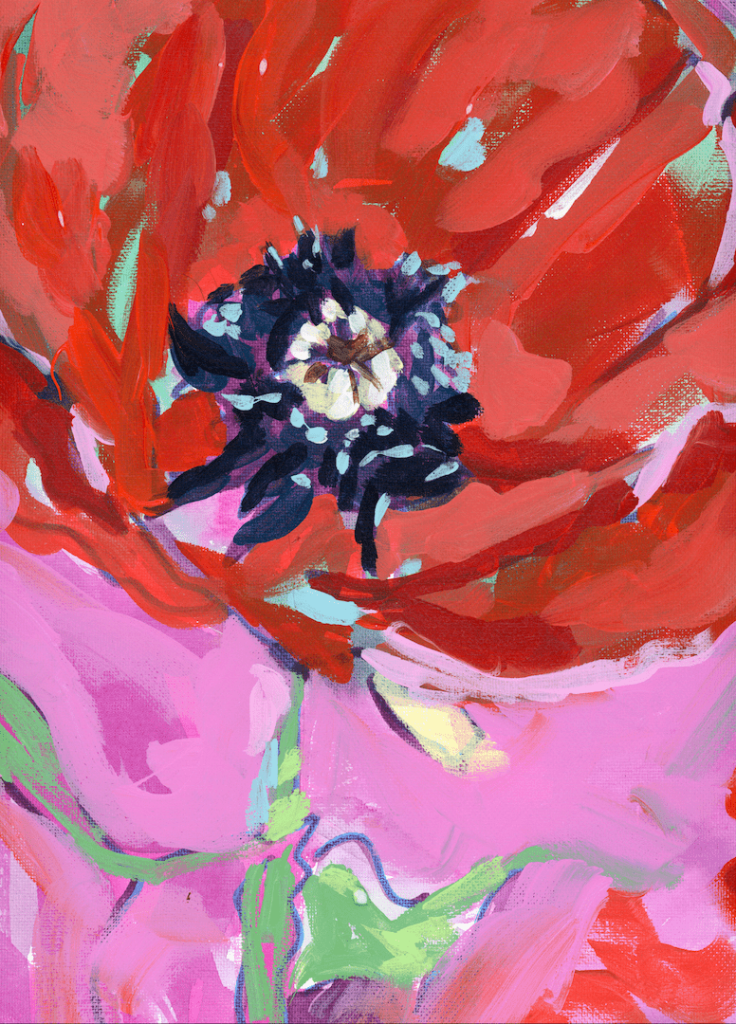 illustration of A close-up flower painted in expressive, layered brushstrokes, with vivid red petals surrounding a dark purple and black center dotted with small pale highlights. The petals are thick and uneven, overlapping in broad arcs. the background blends pink, lavender, and soft green paint with visible texture, while a green stem and leaves emerge loosely beneath the bloom. This artwork is titled “August Birth Flower” and created by Paige Flotterud