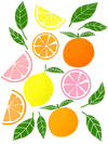 CITRUS BLOOM by HEND SHEHATA, digitally printed on a hand-made Unisex Denim Jacket