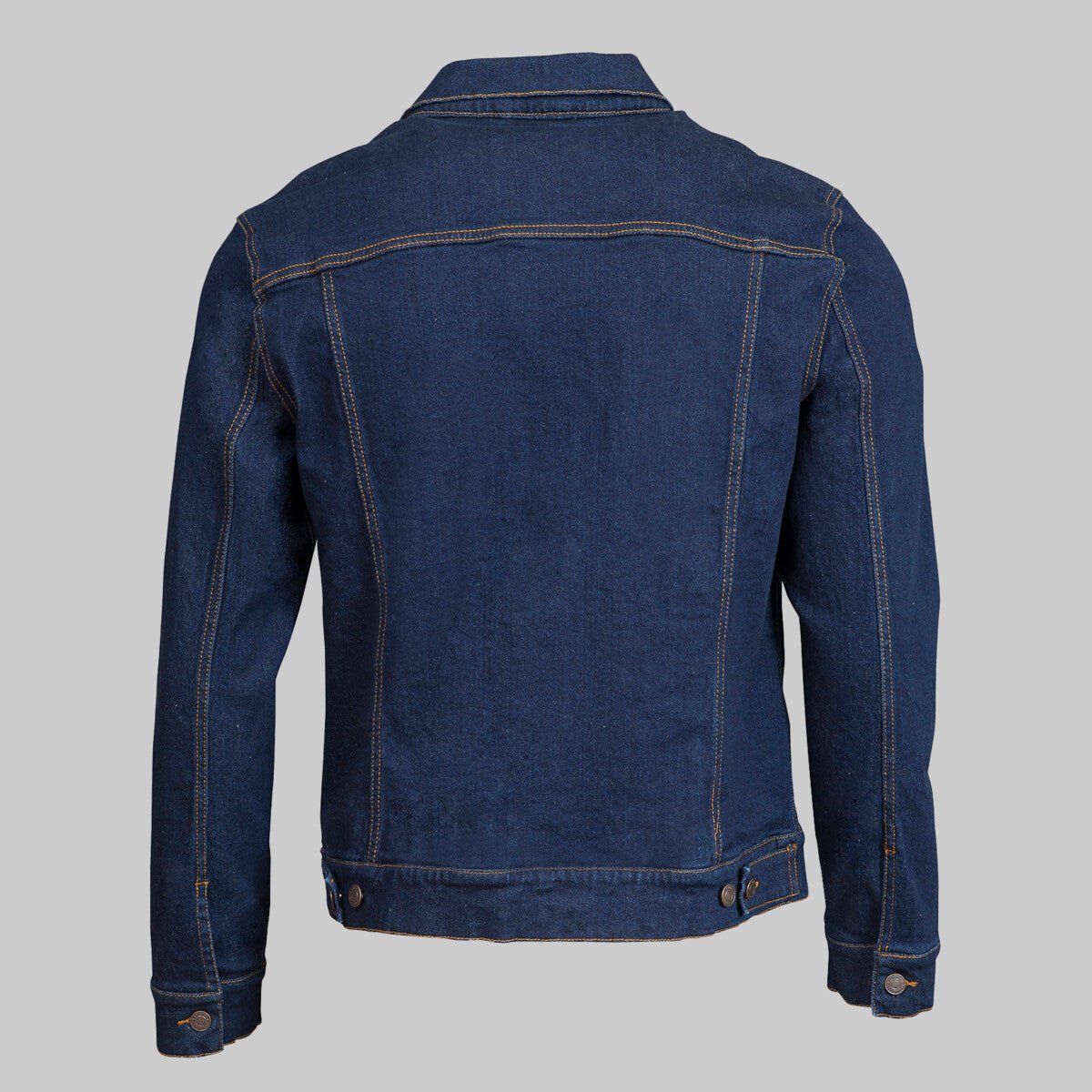 CELTIC DOLPHIN by BRIGID ASHWOOD