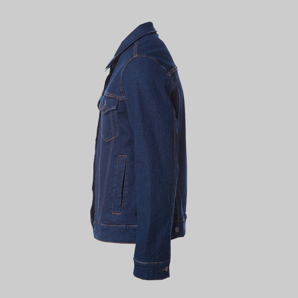 CELTIC DOLPHIN by BRIGID ASHWOOD