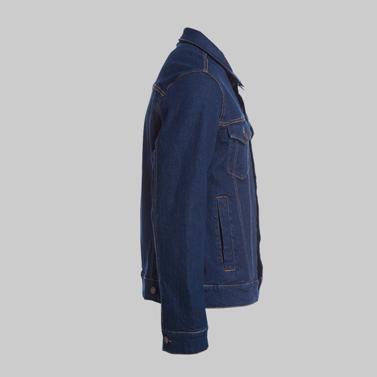 CELTIC DOLPHIN by BRIGID ASHWOOD