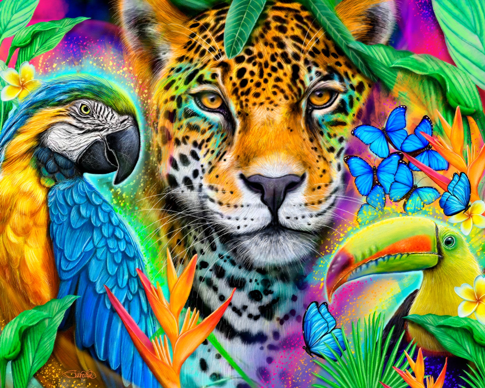 FACES OF NATURE by SHEENA PIKE, digitally printed on DENIM products: throw pillows, aprons, table place mats, and hand-made Unisex Denim Jackets in 3 color choices