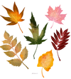 FALL LEAVES by THEARTICSOUL, digitally printed on a hand-made Unisex Denim Jacket