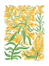 GOLDENROD by KITSCH AND CURATE, digitally printed on a hand-made Unisex Denim Jacket