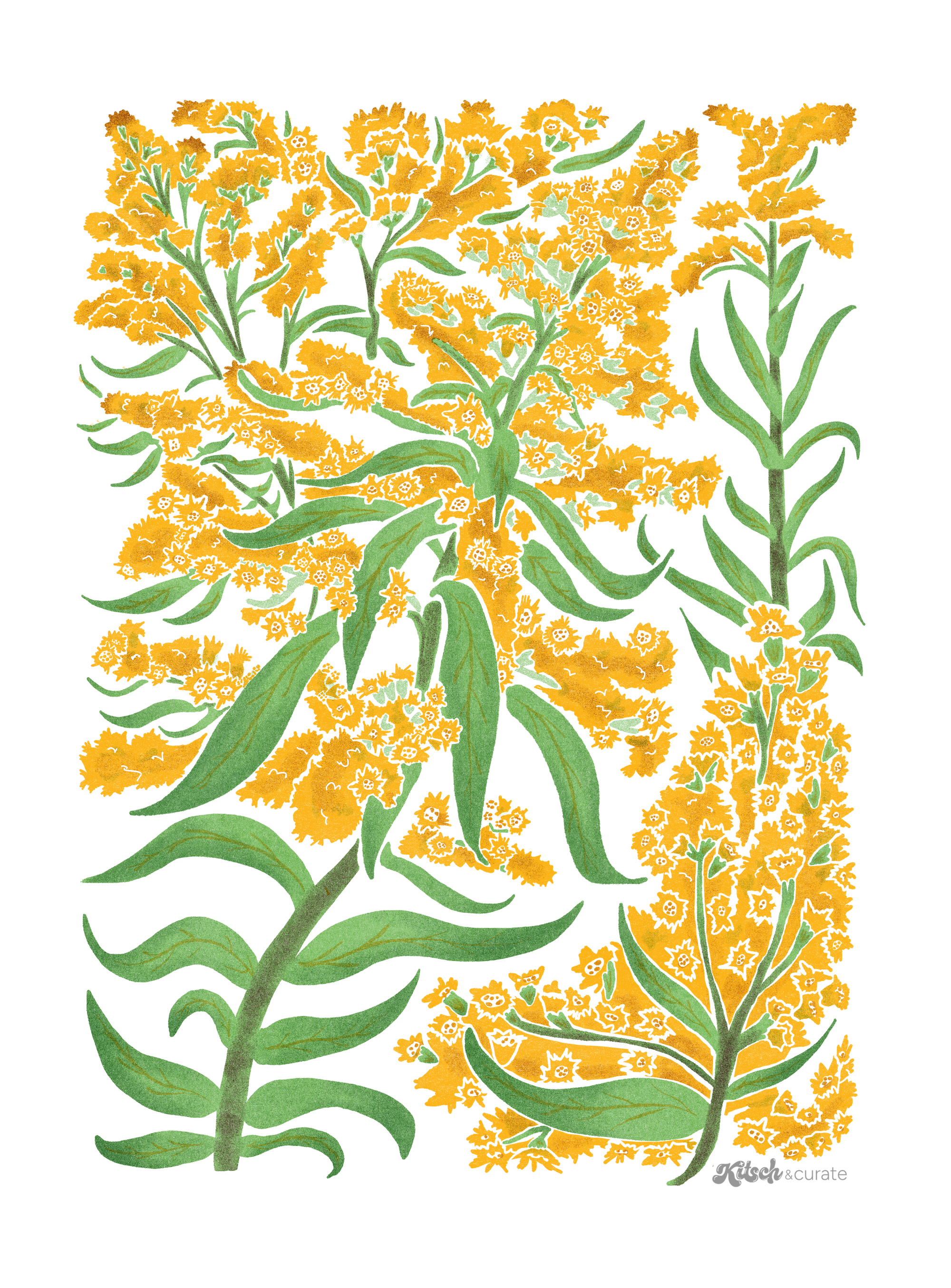 GOLDENROD by KITSCH AND CURATE, digitally printed on DENIM products: throw pillows, aprons, table place mats, and hand-made Unisex Denim Jackets in 3 color choices