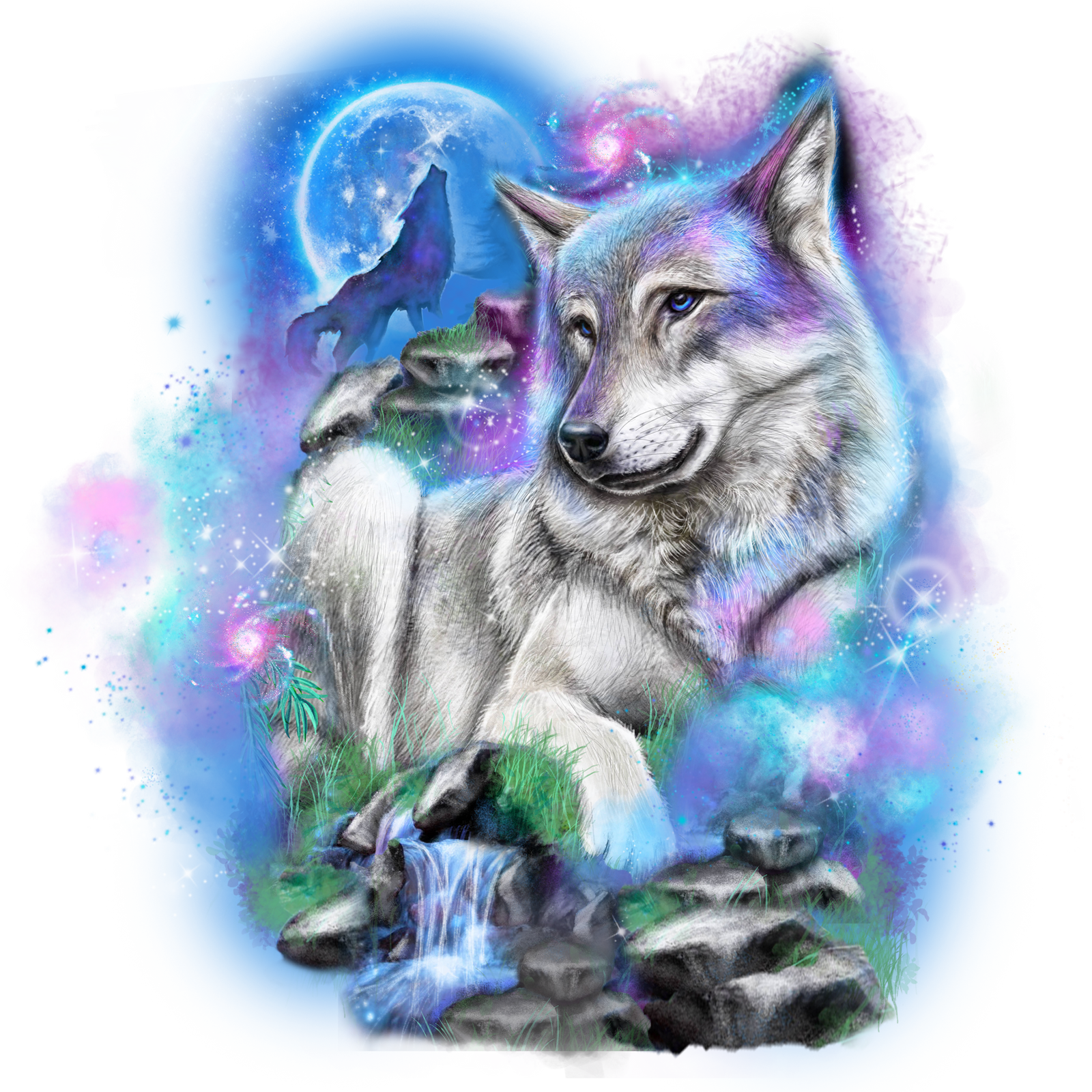 GALAXY WOLF by SHEENA PIKE, digitally printed on DENIM products: throw pillows, aprons, table place mats, and hand-made Unisex Denim Jackets in 3 color choices