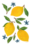 LEMONS by THEARTICSOUL, digitally printed on a hand-made Unisex Denim Jacket