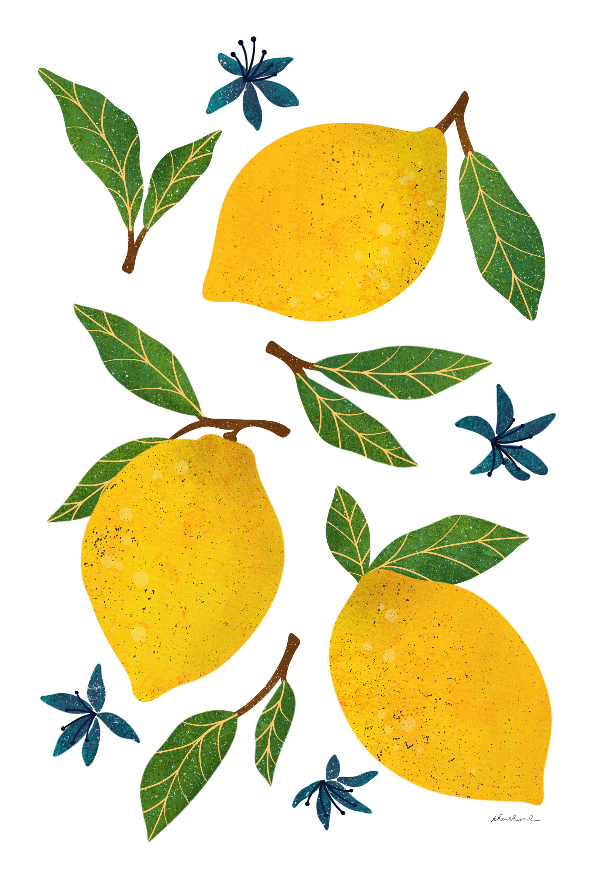 LEMONS by thearticsoul, digitally printed on DENIM products: throw pillows, aprons, table place mats, and hand-made Unisex Denim Jackets in 3 color choices