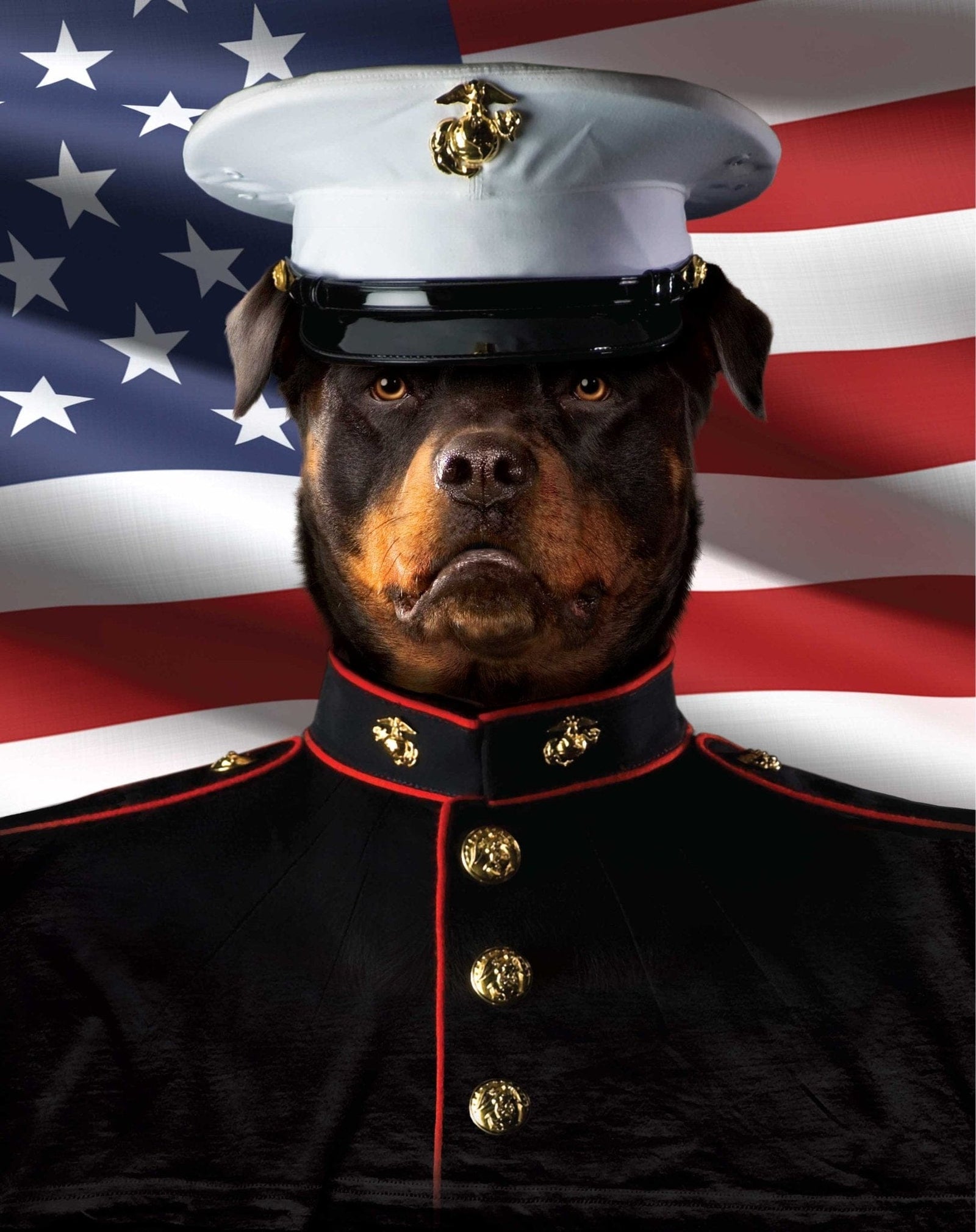 MARINE by VINCENT HIE, digitally printed on DENIM products: throw pillows, aprons, table place mats, and hand-made Unisex Denim Jackets in 3 color choices MARINE by VINCENT HIE, digitally printed on DENIM products: throw pillows, aprons, table place mats, and hand-made Unisex Denim Jackets in 3 color choices