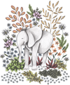 SAFARI ELEPHANT by CECILIA BATTAINI, printed on a hand-made Unisex Denim Jacket