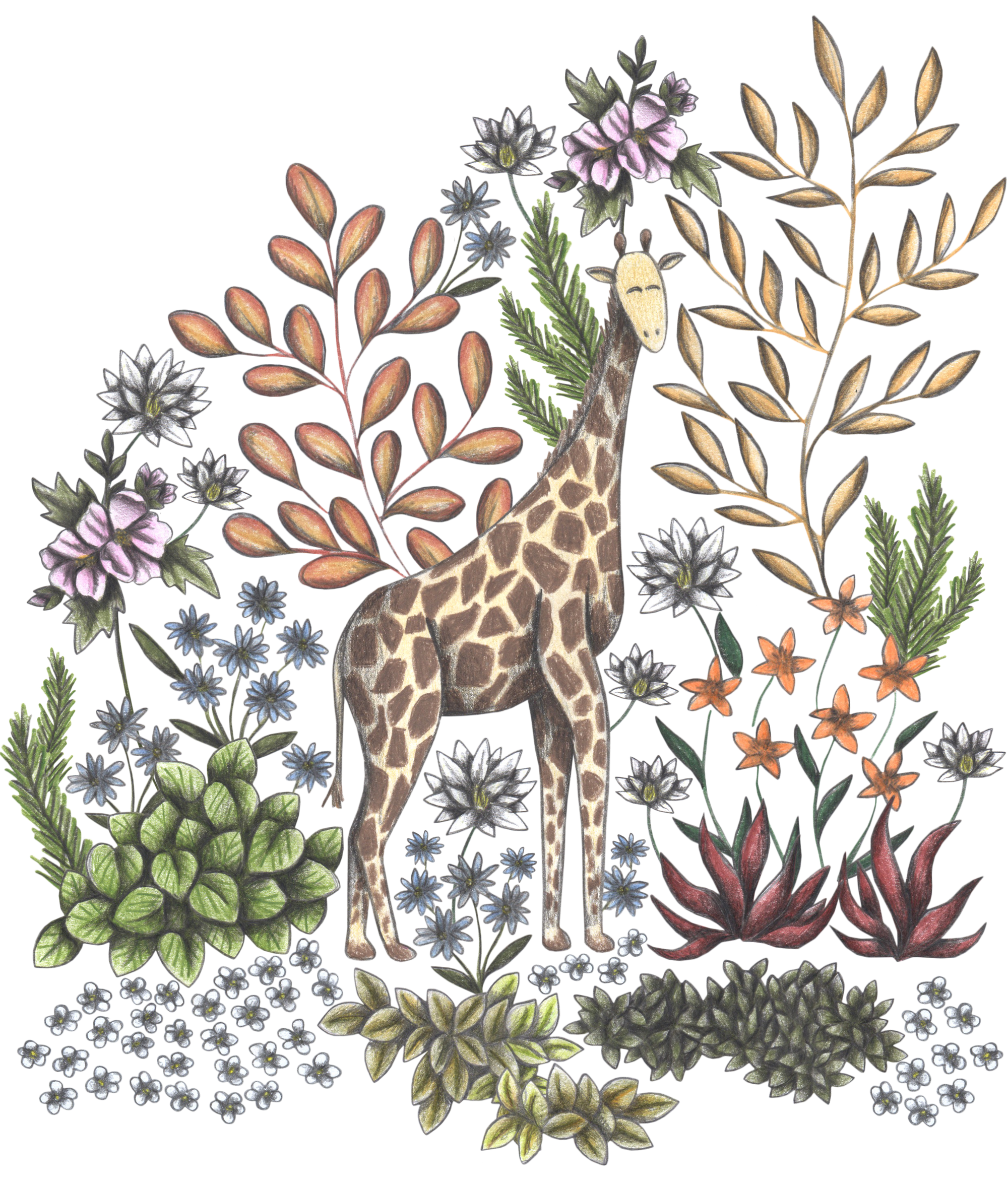 SAFARI GIRAFFE by CECILIA BATTAINI, digitally printed on DENIM products: throw pillows, aprons, table place mats, and hand-made Unisex Denim Jackets in 3 color choices