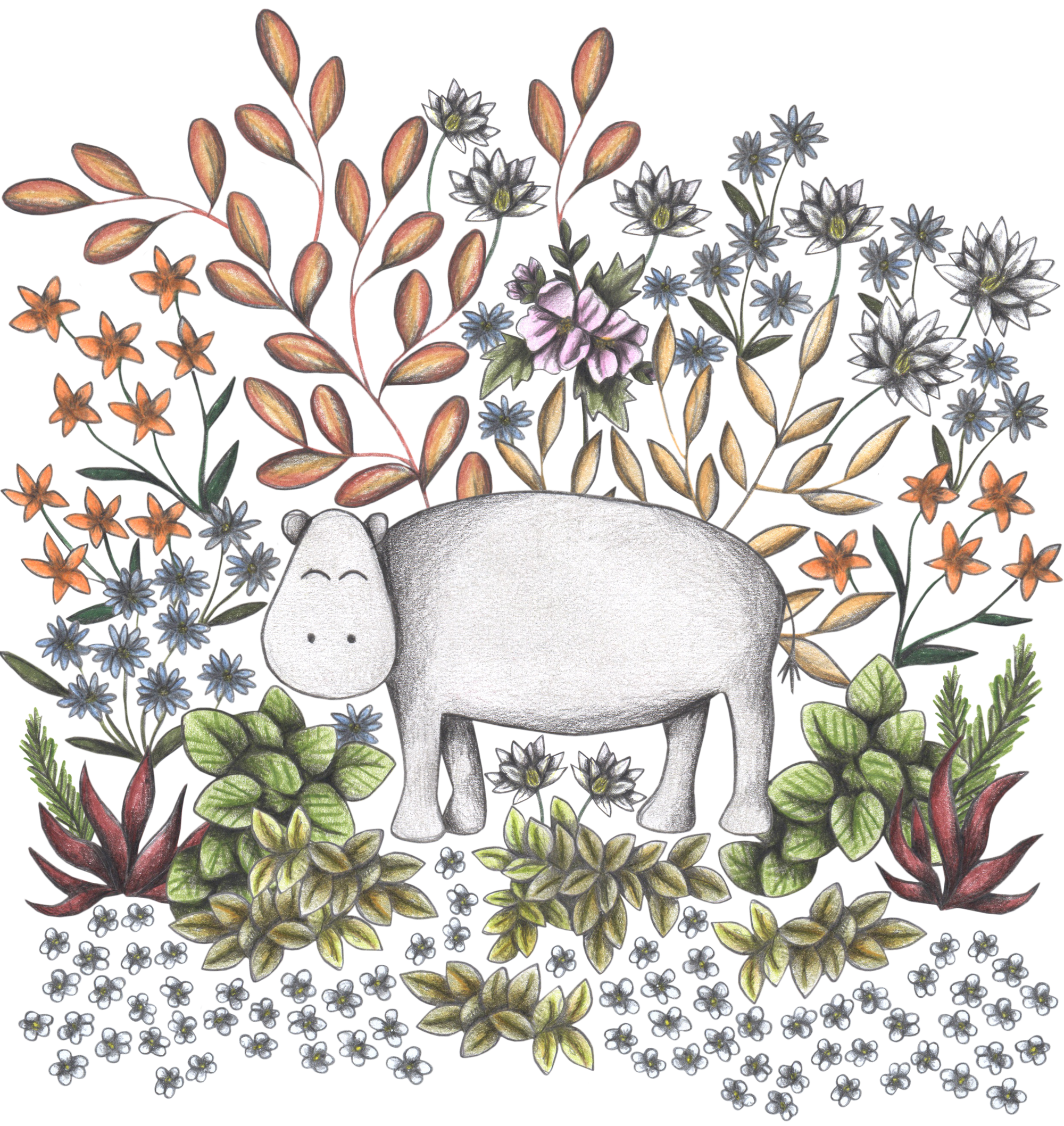 SAFARI HIPPO by CECILIA BATTAINI, digitally printed on DENIM products: throw pillows, aprons, table place mats, and hand-made Unisex Denim Jackets in 3 color choices