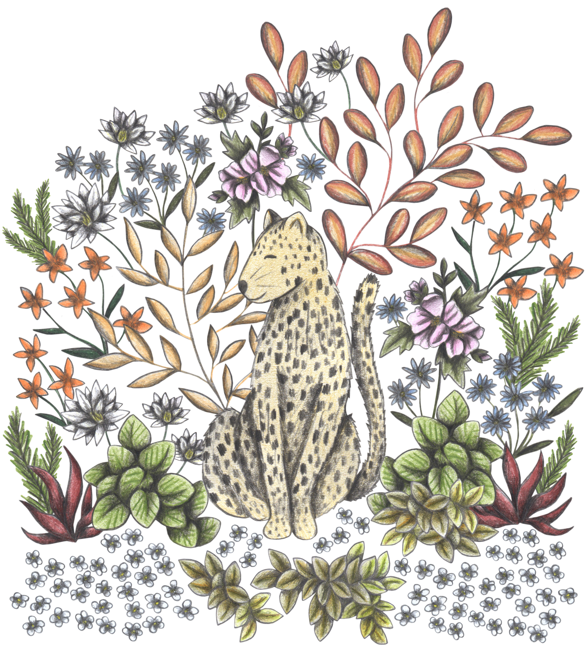 SAFARI LEOPARD by CECILIA BATTAINI, digitally printed on DENIM products: throw pillows, aprons, table place mats, and hand-made Unisex Denim Jackets in 3 color choices