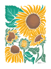 SUNFLOWER by KITSCH AND CURATE, digitally printed on a hand-made Unisex Denim Jacket