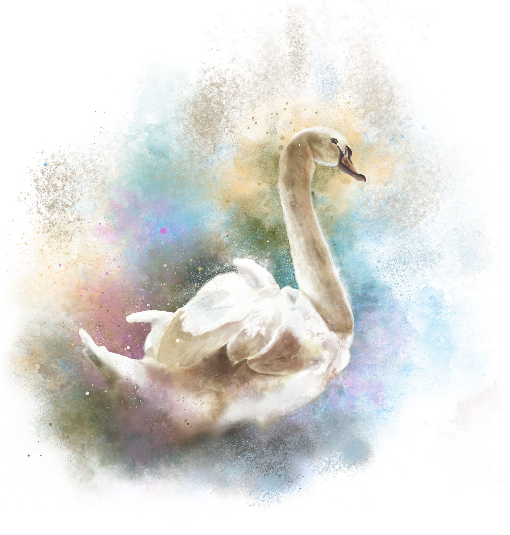 SWAN WATERCOLOR by RAMIR DESIGNS, digitally printed on DENIM products: throw pillows, aprons, table place mats, and hand-made Unisex Denim Jackets in 3 color choices