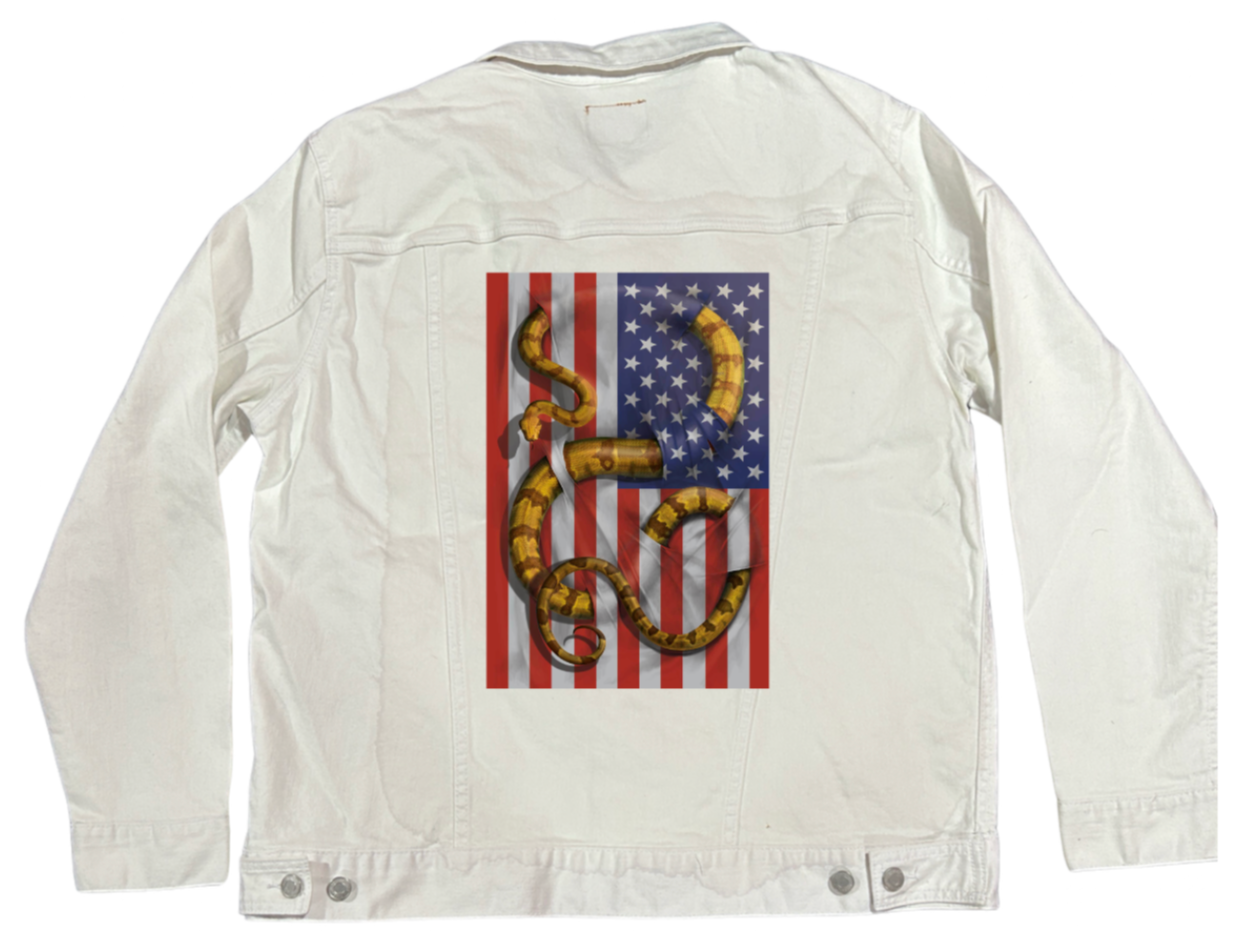 BOA CONSTRICTOR by VINCENT HIE, digitally printed on DENIM products: throw pillows, aprons, table place mats, and hand-made Unisex Denim Jackets in 3 color choices