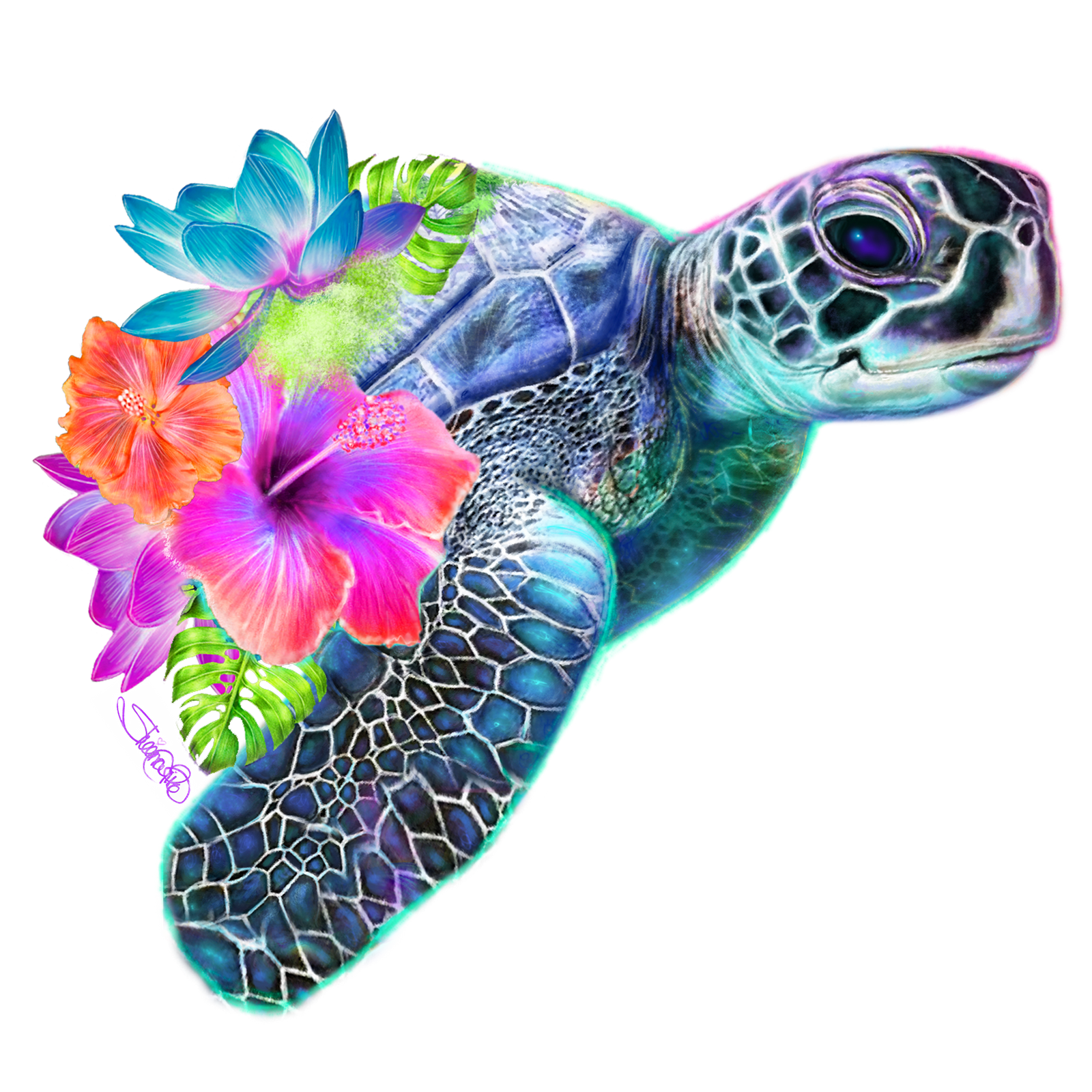 SEA TURTLE by SHEENA PIKE, digitally printed on DENIM products: throw pillows, aprons, table place mats, and hand-made Unisex Denim Jackets in 3 color choices