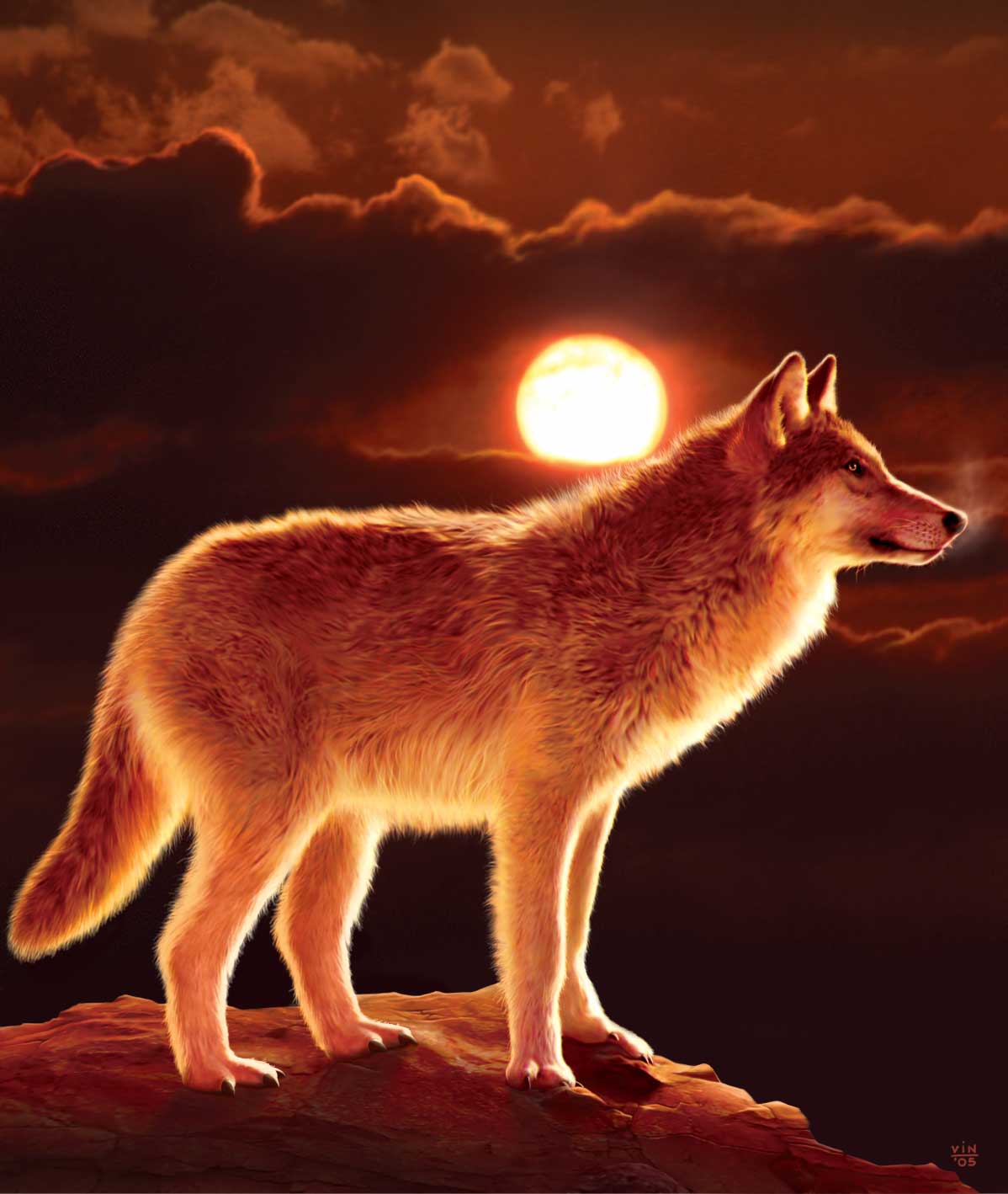 SUNSET WOLF by VINCENT HIE, digitally printed on DENIM products: throw pillows, aprons, table place mats, and hand-made Unisex Denim Jackets in 3 color choices