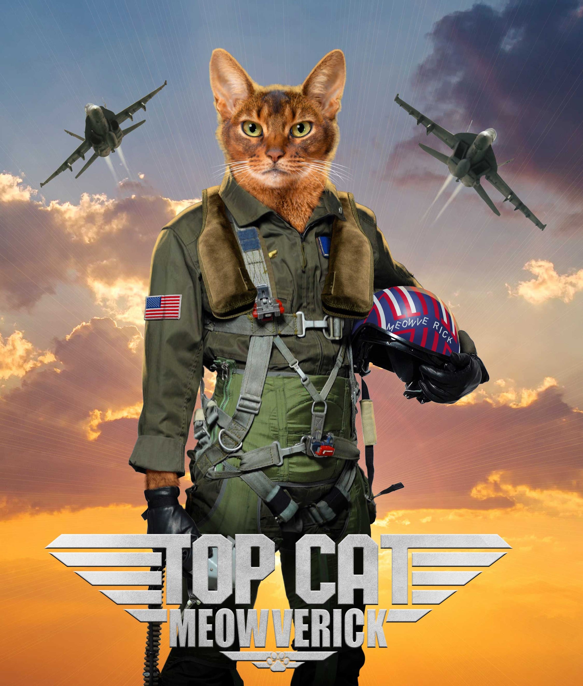 TOP CAT MEOWVERICK by VINCENT HIE, digitally printed on DENIM products: throw pillows, aprons, table place mats, and hand-made Unisex Denim Jackets in 3 color choices