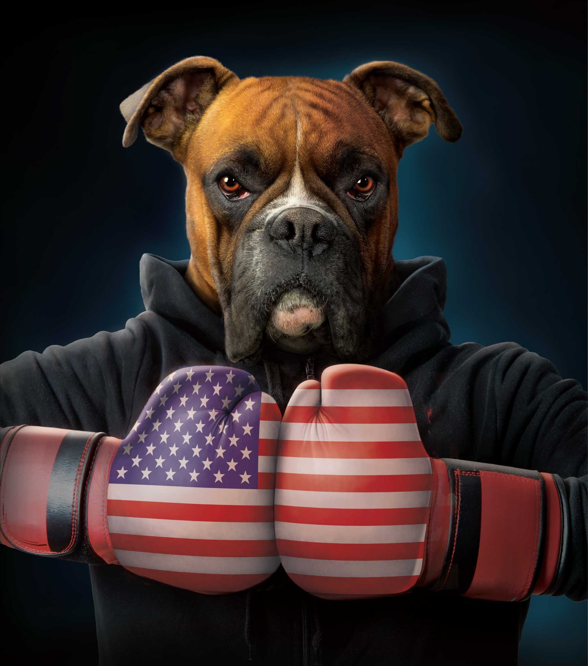 TOUGH BOXER by VINCENT HIE, digitally printed on DENIM products: throw pillows, aprons, table place mats, and hand-made Unisex Denim Jackets in 3 color choices