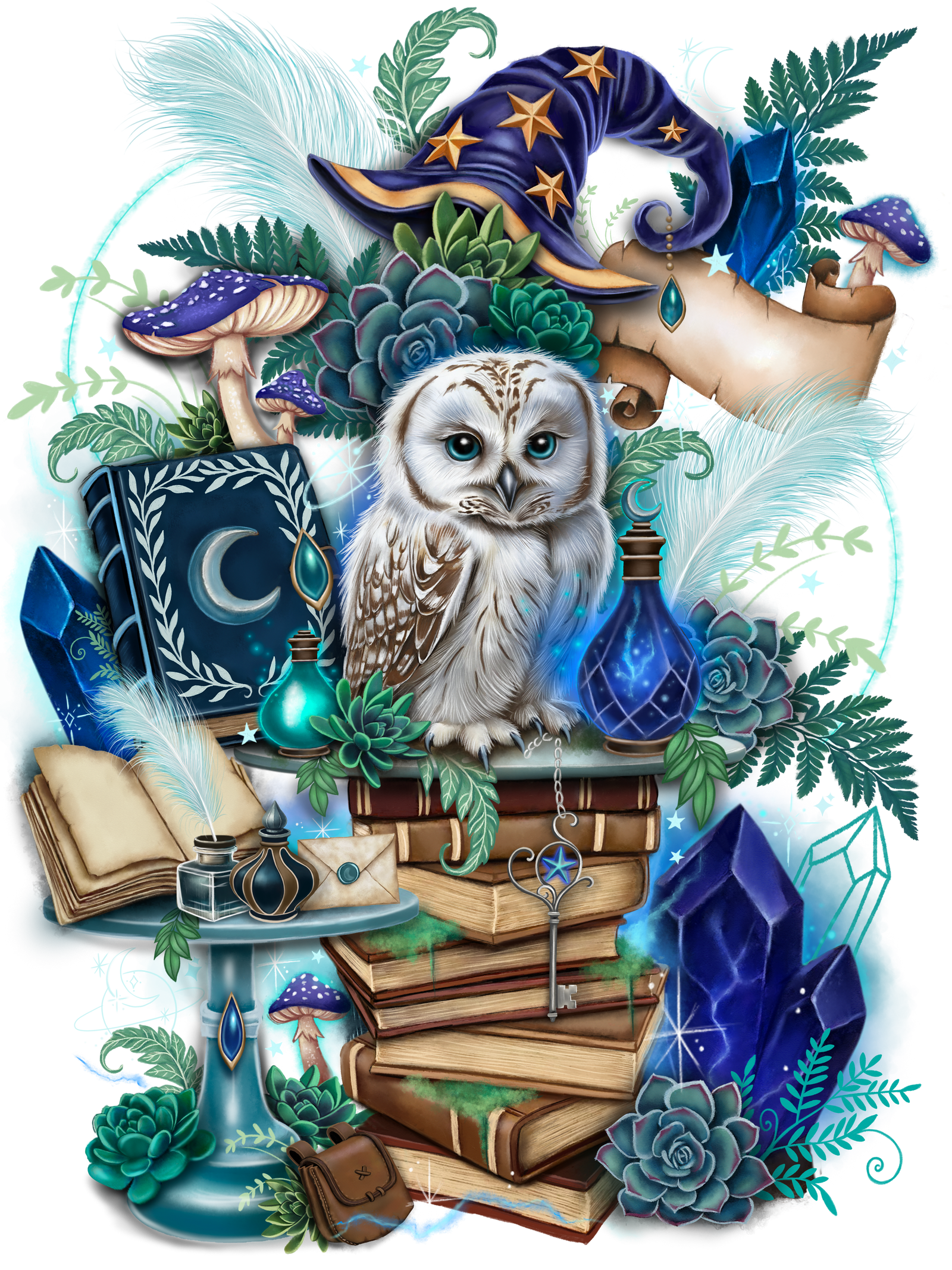 WIZARDS COMPANION by SHEENA PIKE, digitally printed on DENIM products: throw pillows, aprons, table place mats, and hand-made Unisex Denim Jackets in 3 color choices